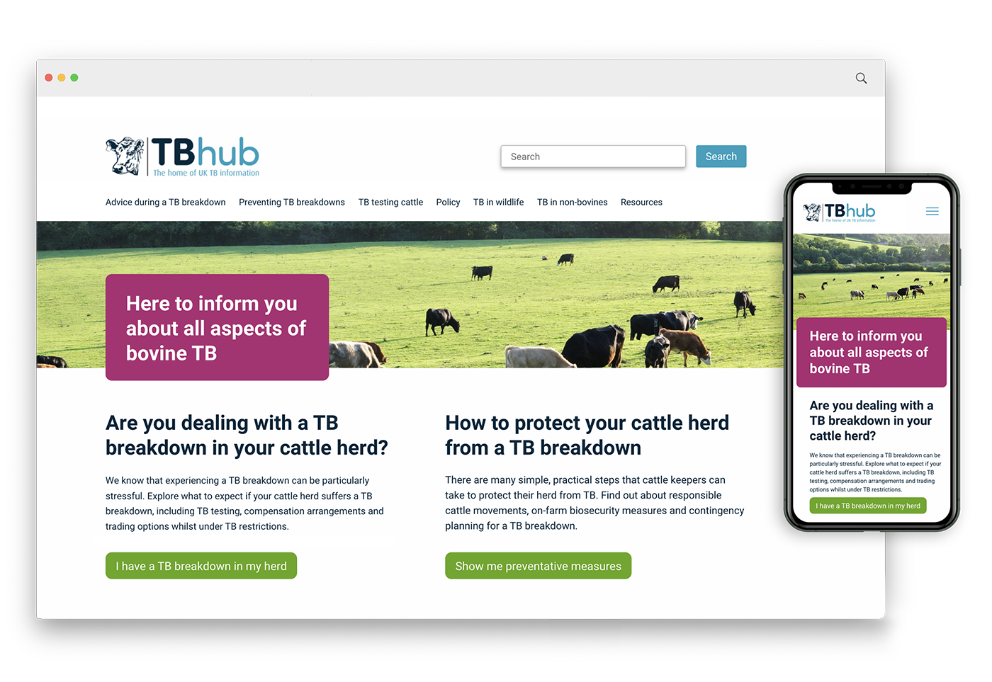 TB Hub 4